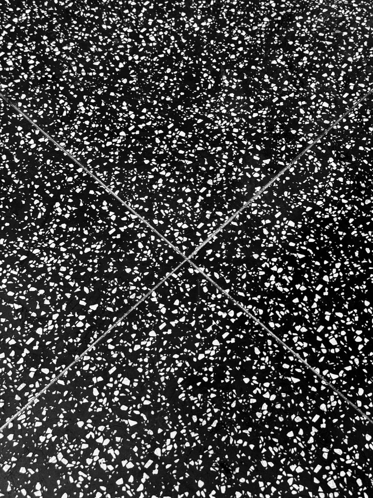 Close-up of a black-and-white speckled terrazzo-effect floor